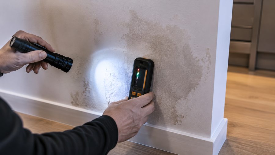 Tracing a hidden leak with a moisture meter in Exeter